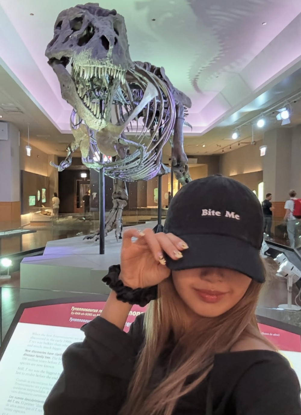 LISA