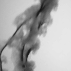 profile pic